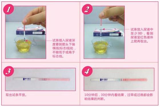 大卫排卵试纸8档图解图 大卫排卵试纸怎么看结果