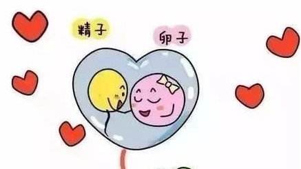 女性年龄大会增加做泰国试管婴儿的难度吗？