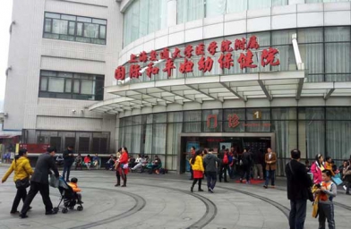 湖北上海做试管助孕，上海国妇婴试管婴儿成功率和费用是怎样？
